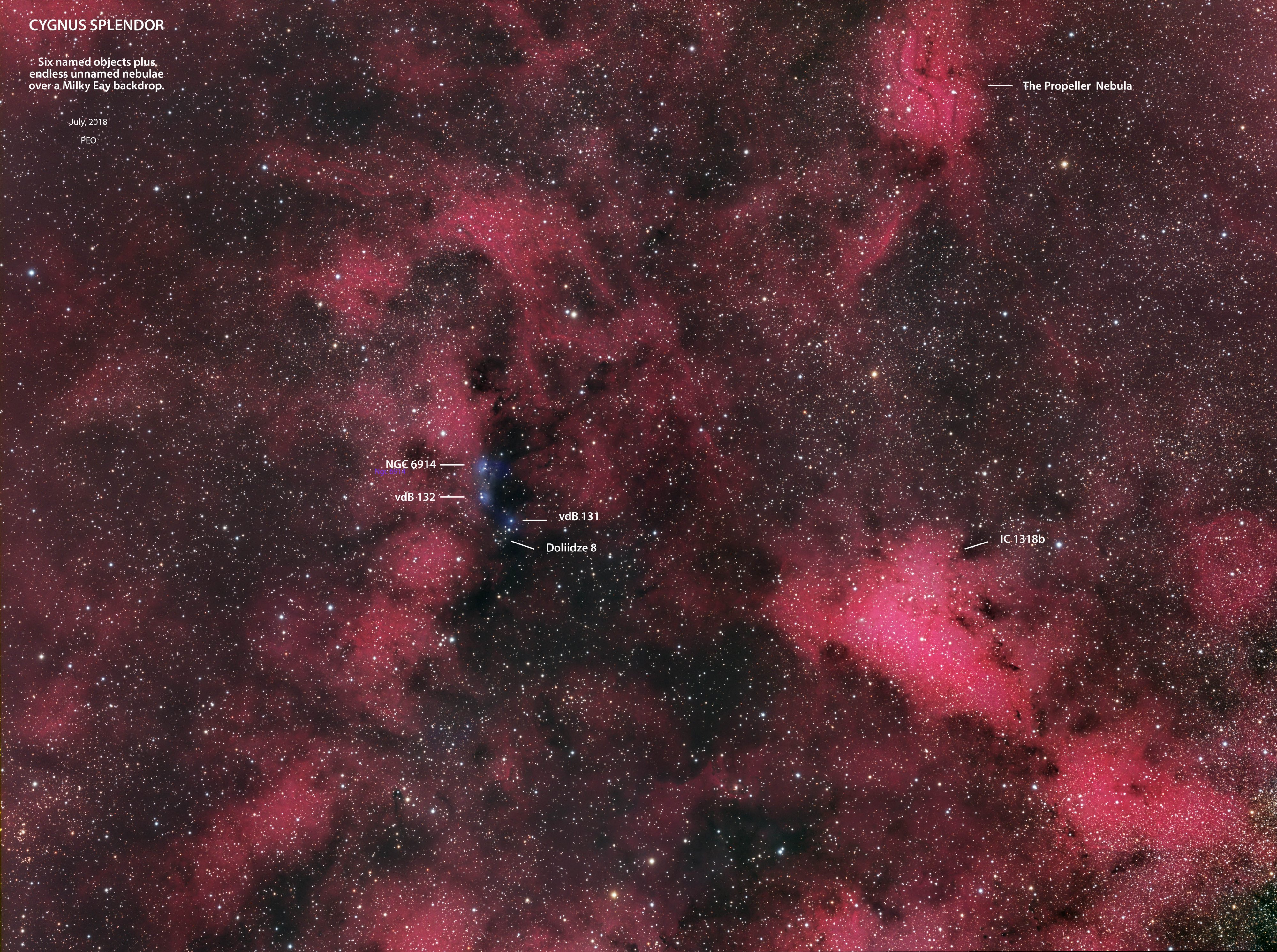 Cygnus Splendor